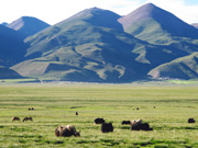 【國旅自組】泰品質 泰國曼谷、芭堤雅星夢島雙飛7日游(茂名起止)