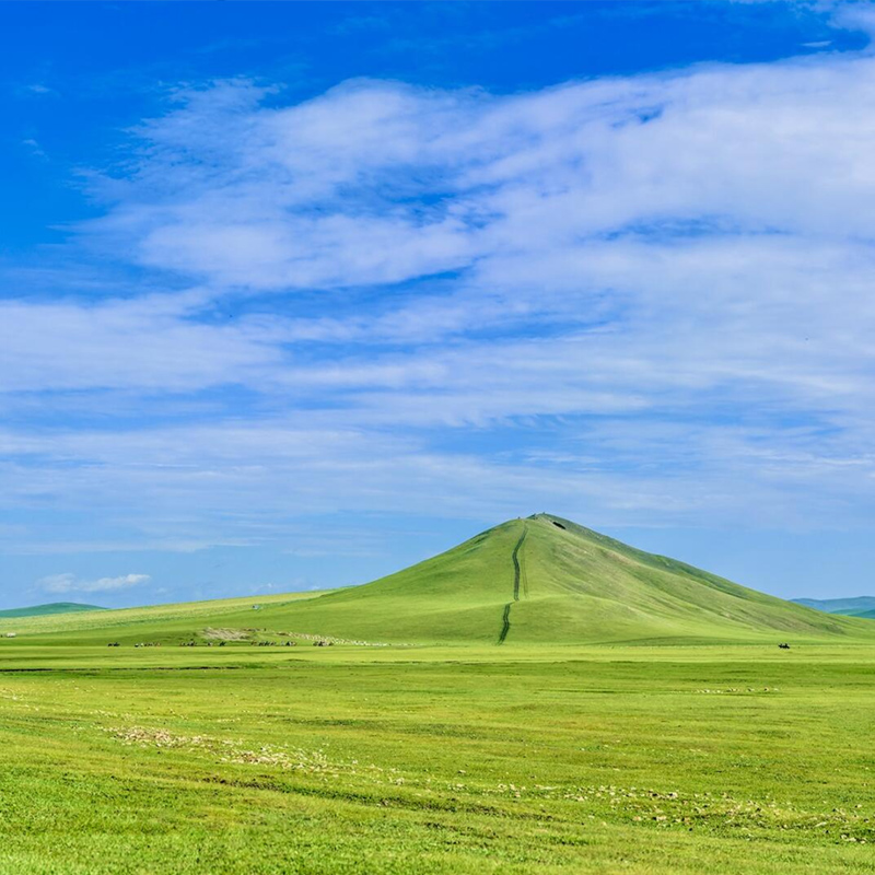 【長青樹】（闖關東、看草原去北極）河北、黑龍江、內蒙古、遼寧、吉林 空調旅游專列15天暑假班